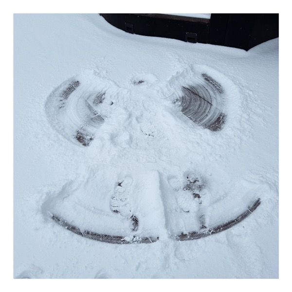 snow angel