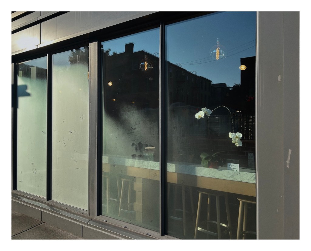 a storefront's large windows are fogged, but an orchid can be seen inside, seeking the morning sunlight