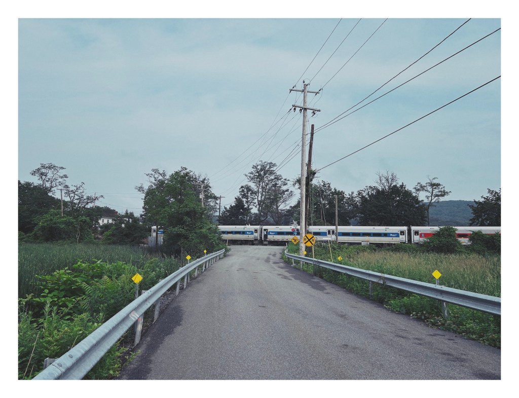 a narrow paved road cuts through tall grass to a railroad track, where a silver train slowly departs