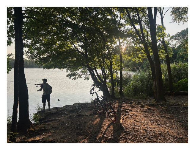 a man fishes on the shore of a lake; his bike rests on its kickstand nearby; the fading summer sinks behind the trees