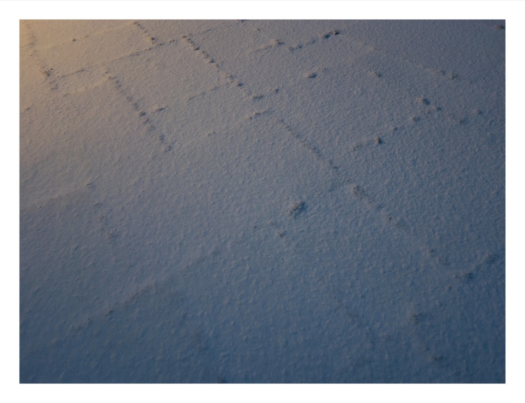 a light dusting of snow reveals tufts of grass and moss at the boundaries between flat stone pavers