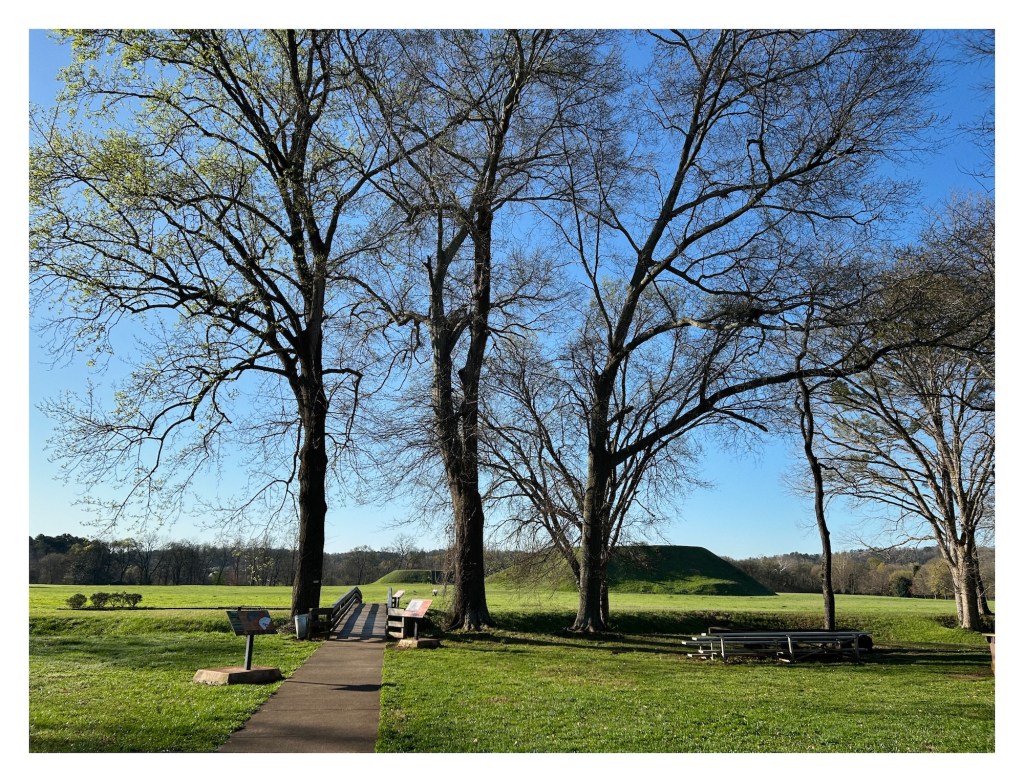 view of the Etowah Indian Mounds seen beyond several tall trees