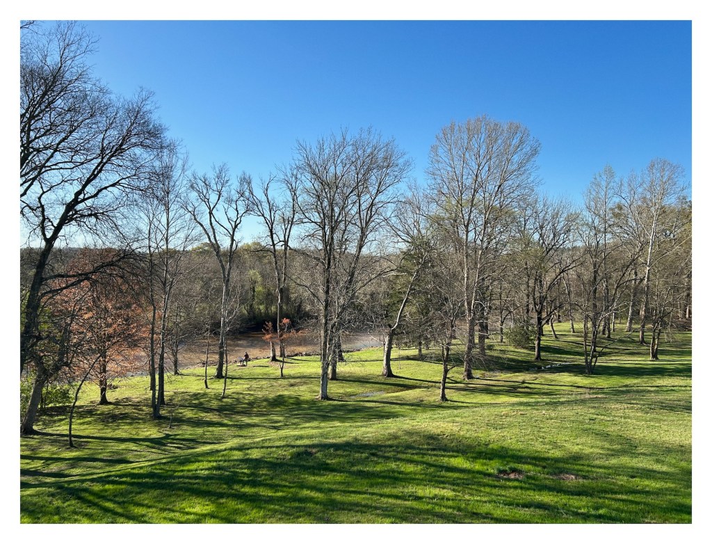 view of the Etowah River from atop one of the Etowah Indian Mounds; the river is lined by tall trees and a green lawn